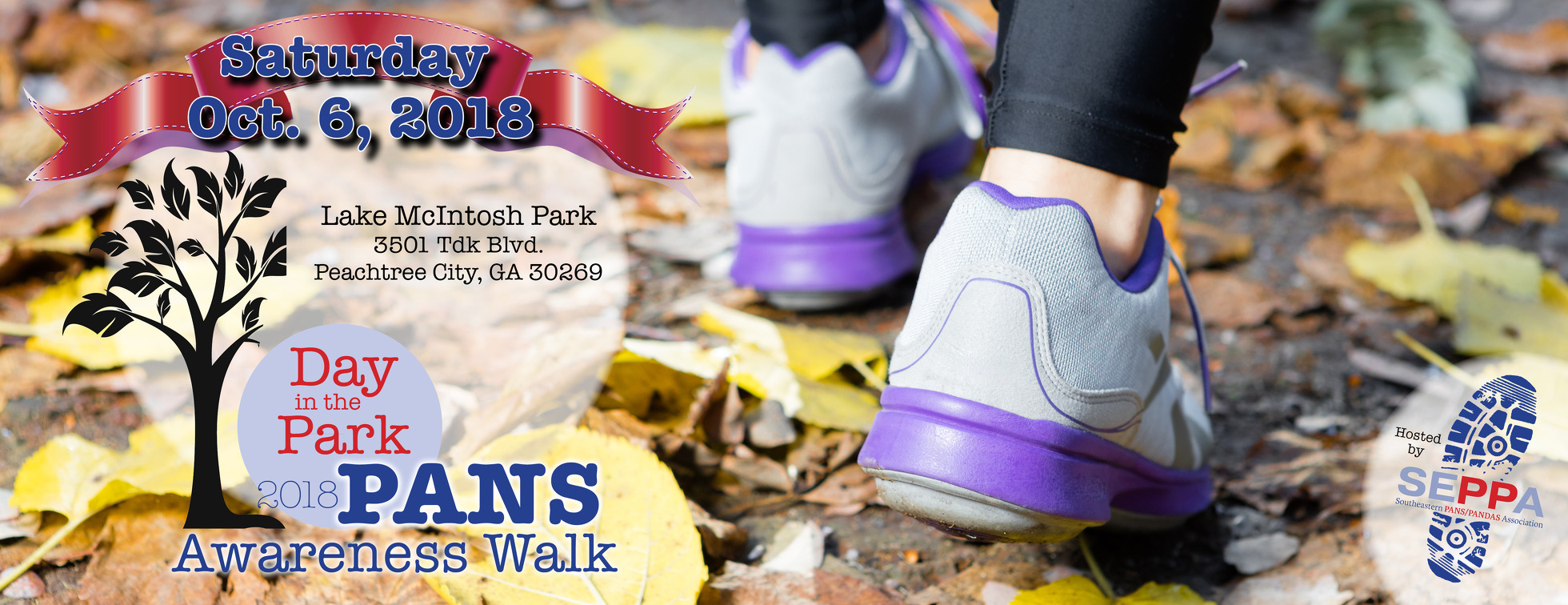 Day in the Park 2018 PANS Awareness Walk